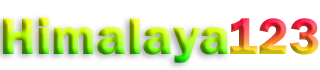 WebsiteLogo